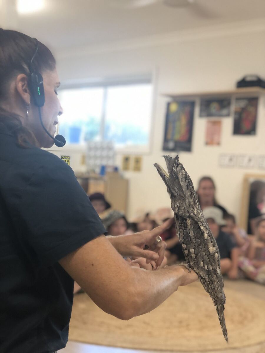 An educator shows a stick insect to a group of children indoors