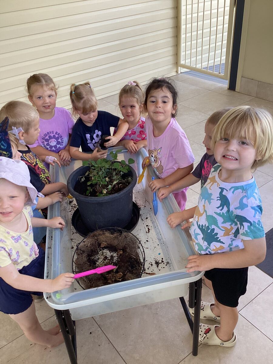 Toddlers and educators engaged in outdoor planting together