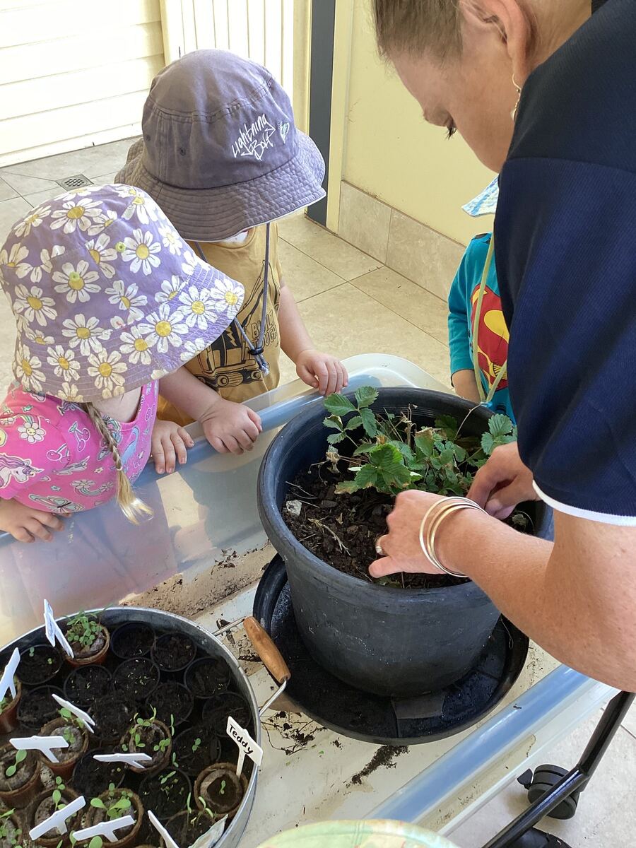 Toddlers watch an educator plant in a pot in an outdoor garden area